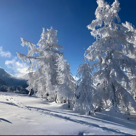 Hike & Ski-in Ski-out Mountain View For Family & Friends Daire Hinterstoder