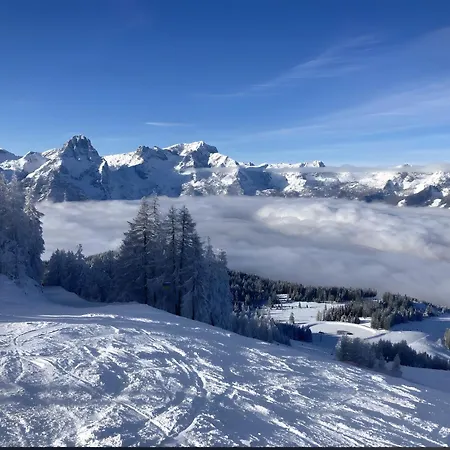 Apartment Hike & Ski-in Ski-out Mountain View For Family & Friends *