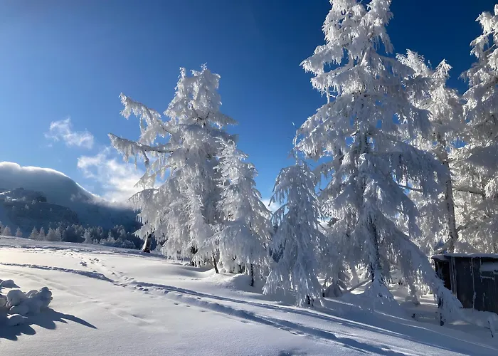 Hike & Ski-in Ski-out Mountain View For Family & Friends Διαμέρισμα Hinterstoder