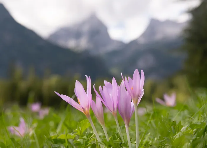 Hike & Ski-in Ski-out Mountain View For Family & Friends * Hinterstoder